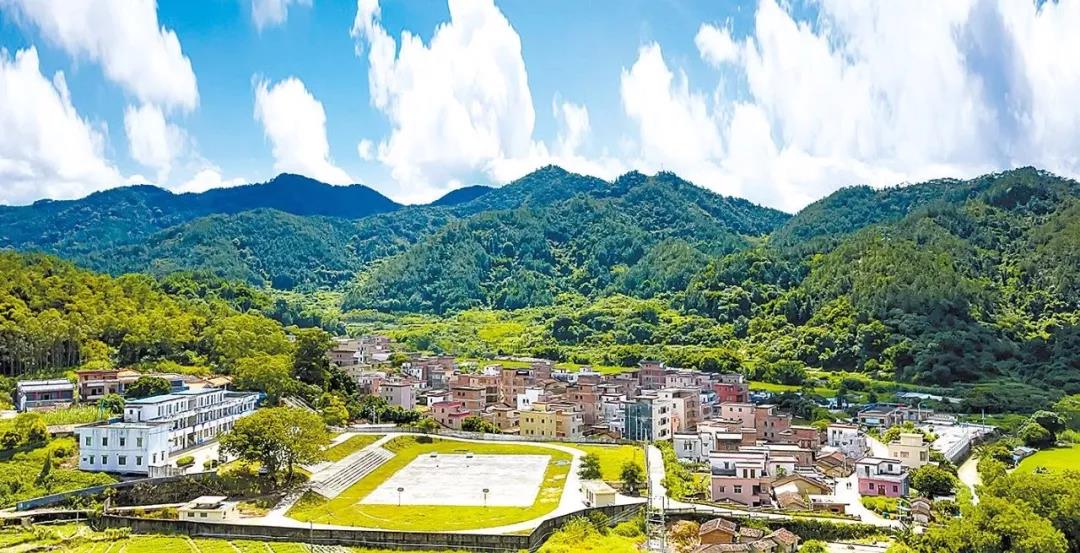 广东省村庄规划工作总结-以新兴县为例